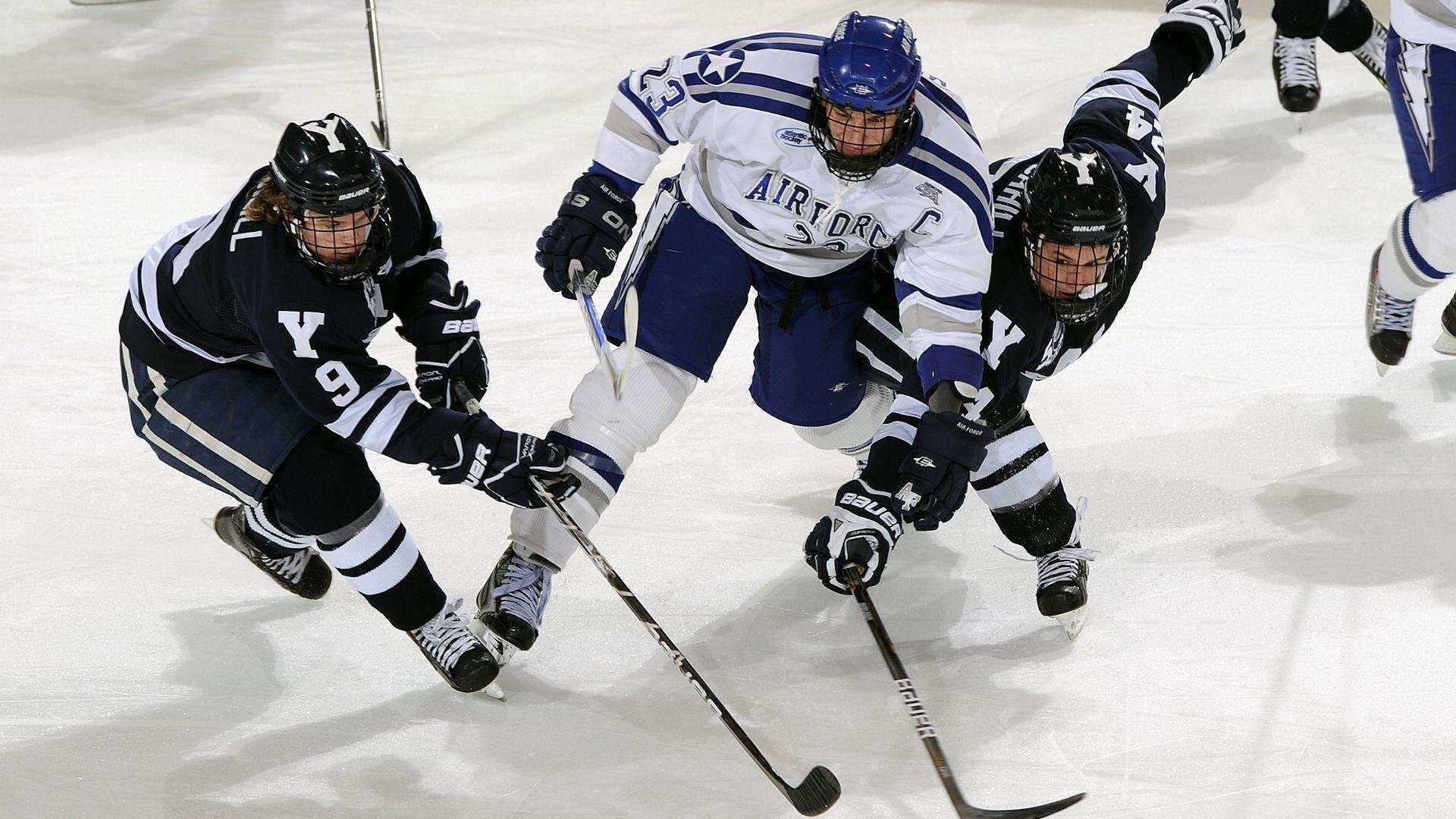 国际车迷狂欢节:不同国家的狂热场面,国际车王